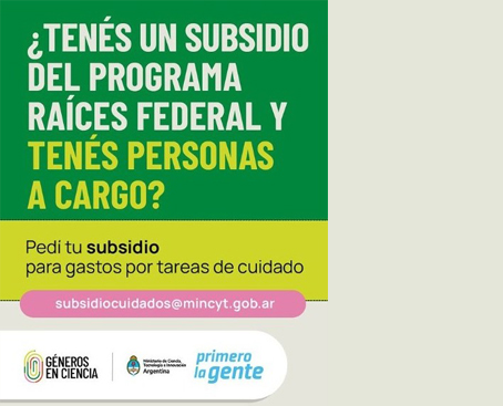 subsidio cuidado